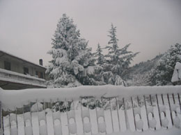 foto neve del 24 novembre 2005 